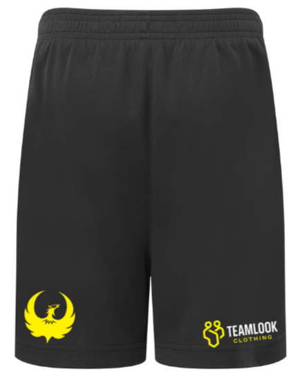 DPSC Training Shorts